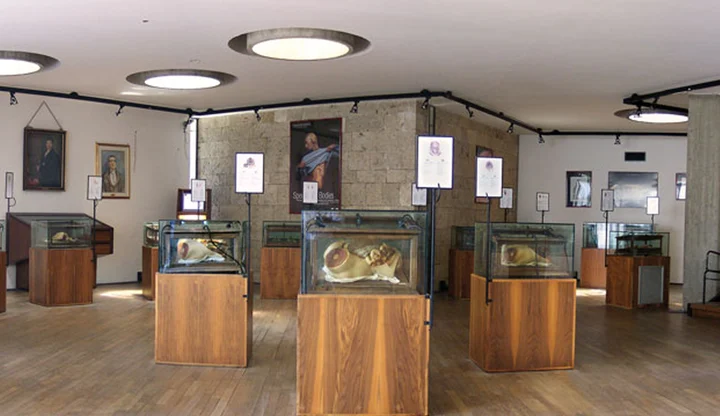 Raccolta delle cere anatomiche di Clemente Susini