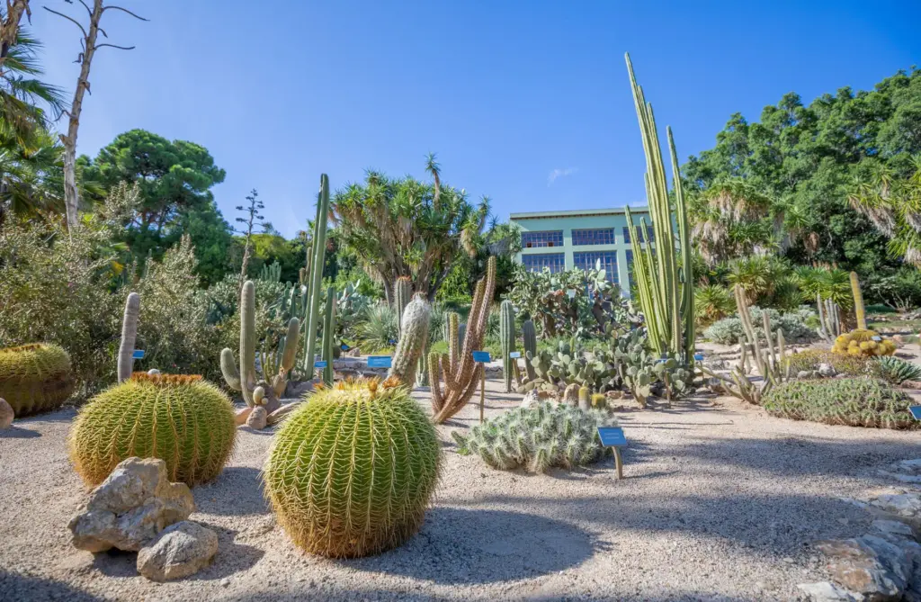 Orto Botanico HBK