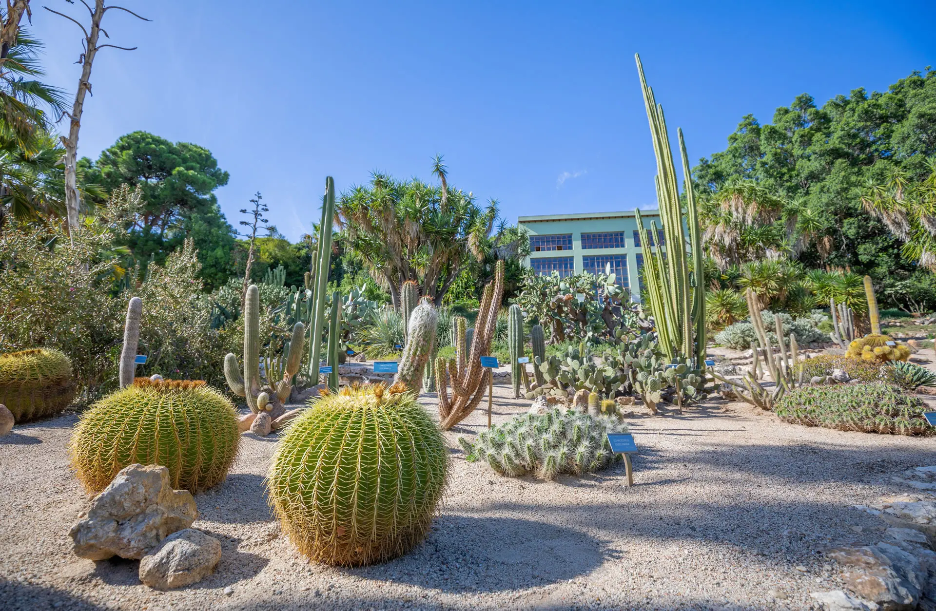 Orto Botanico UNICA Orto Botanico UNICA