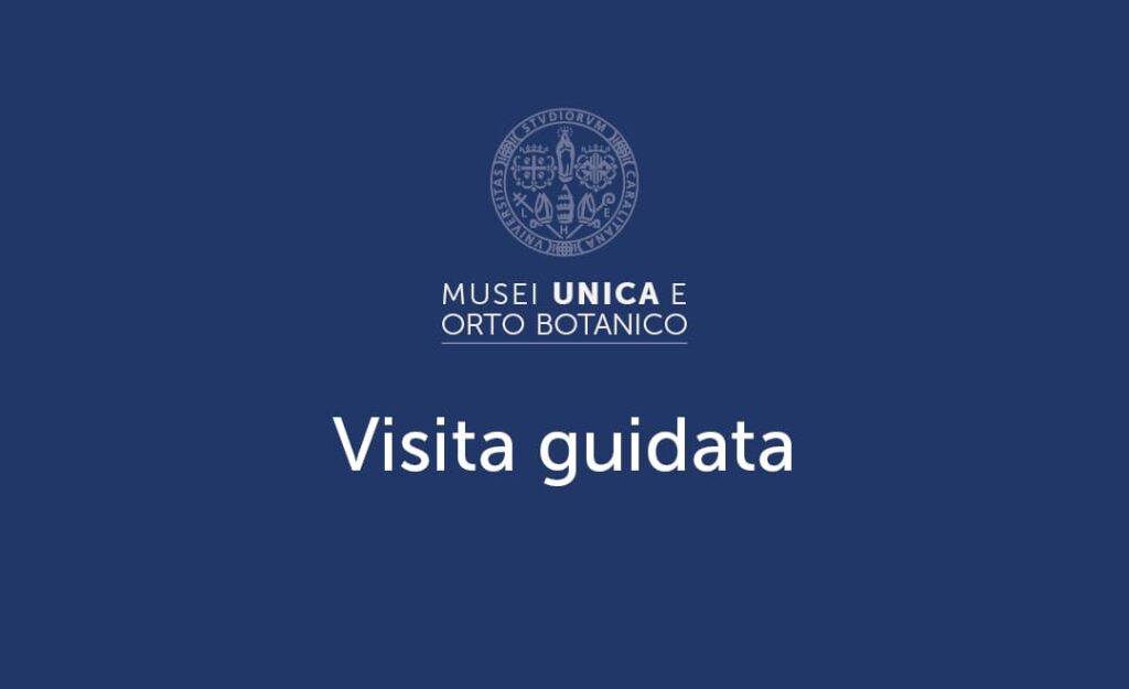 Visita guidata Musei UniCa